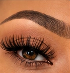Lashes & Brows illustrative inspiration